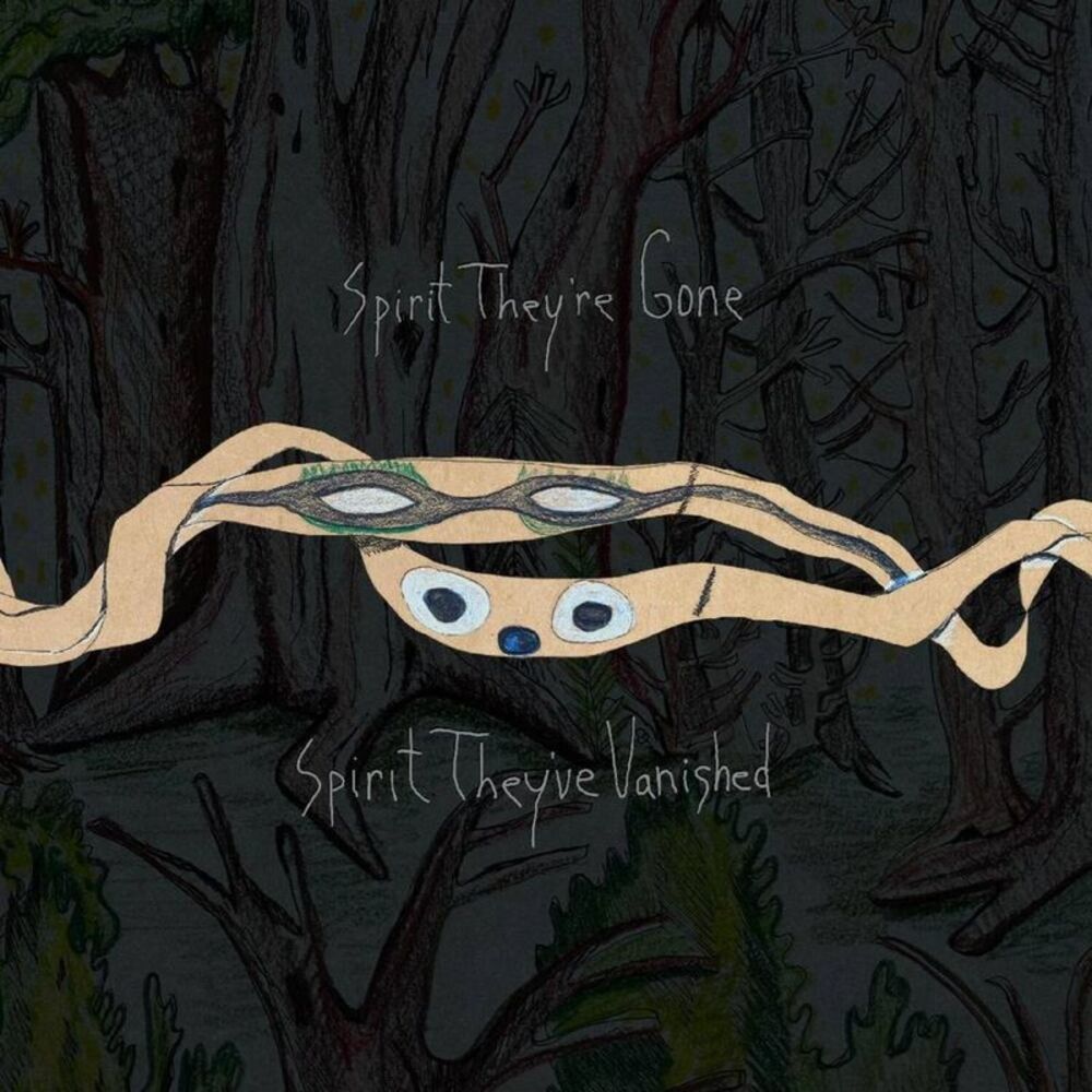 Animal Collective - Spirit They're Gone Spirit They've Vanished  LP LP